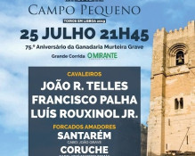 Vídeo Promocional: 25 de Julho - Campo Pequeno